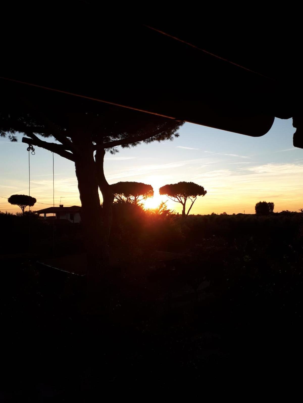 Podere Serena 카스타니에토카르두치 외부 사진