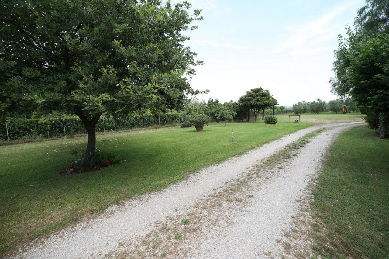 Podere Serena 카스타니에토카르두치 외부 사진