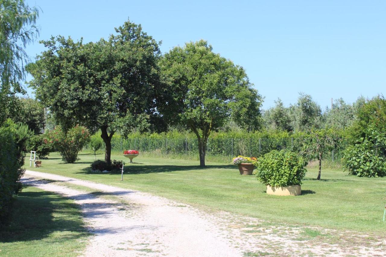 Podere Serena 카스타니에토카르두치 외부 사진